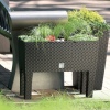 RATO CASE Raised Rattan Flower Bed Planter