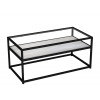 Serena Glass Top Coffee Table with Steel Frame