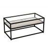 Serena Glass Top Coffee Table with Steel Frame