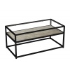 Serena Glass Top Coffee Table with Steel Frame