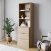 Fuji 3 Drawer Chest Cabinet & Bookcase