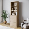 Fuji 3 Drawer Chest Cabinet & Bookcase