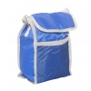 Cooler Bag PE 18 x 11 x 25cm (531298)