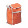 Cooler Bag PE 18 x 11 x 25cm (531298)