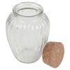 Glass Storage Jar with Cork Lid