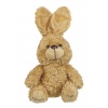 Talking Plush Dog ((Just0072)