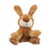 Talking Plush Dog ((Just0072)