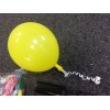 250 Helium/Air Balloons & Pump