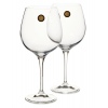 RCR Wine Decanter & 4 Red Wine Glasses [Aliseo]
