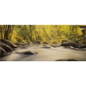 Woodland Stream Printed Canvas [42752]