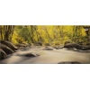 Woodland Stream Printed Canvas [42752]